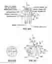 Fig. 07 - METHOD AND APPARATUS FOR CHARACTERIZING ELASTIC ANISOTROPY FOR TRANSVERSELY ISOTROPIC UNCONVENTIONAL SHALE