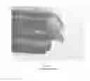 Fig. 02 - Functional sheet with protective films