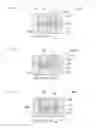 Fig. 03 - Display back illumination apparatus having compression molded light guide