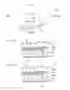 Fig. 04 - Display back illumination apparatus having compression molded light guide