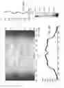 Fig. 31 - Illumination Devices Including Multiple Light Emitting Elements