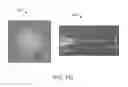 Fig. 56 - Modifying light of a multicore assembly to produce a plurality of viewing zones