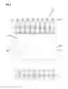 Fig. 03 - Wavelength division multiplexing module