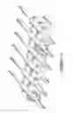 Fig. 05 - Splice holder
