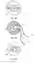 Fig. 44 - Apical radiator