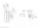 Fig. 01 - Zoom lens and image pickup apparatus including the same
