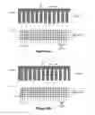 Fig. 06 - Optical scanning systems for in situ genetic analysis