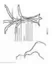 Fig. 72 - OPTICAL CONFIGURATIONS FOR HEAD-WORN SEE-THROUGH DISPLAYS