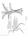 Fig. 73 - OPTICAL CONFIGURATIONS FOR HEAD-WORN SEE-THROUGH DISPLAYS