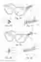 Fig. 02 - Accessory for glasses