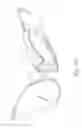 Fig. 08 - Accessory for glasses