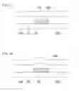 Fig. 02 - LIQUID CRYSTAL DISPLAY