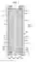 Fig. 04 - LIQUID CRYSTAL DISPLAY