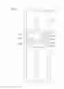 Fig. 07 - Curved display device having plurality of subpixel electrodes formed in plurality of columns