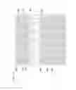 Fig. 13 - Curved display device having plurality of subpixel electrodes formed in plurality of columns