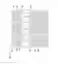 Fig. 15 - Curved display device having plurality of subpixel electrodes formed in plurality of columns
