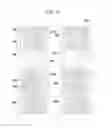 Fig. 10 - Display device