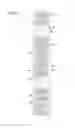 Fig. 12 - Display device