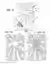 Fig. 04 - METHOD FOR PRINTING A DIGITAL IMAGE ON A STYLIZED METALLIC SHEET