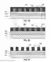 Fig. 05 - EUV resist etch durability improvement and pattern collapse mitigation