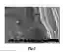Fig. 03 - Colorless digital primer for digital printing