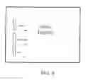 Fig. 12 - System, apparatus and method for dynamically adjusting a video presentation based upon age
