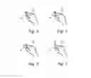 Fig. 05 - System for gaze interaction