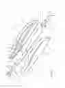 Fig. 06 - STYLUS