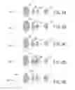 Fig. 05 - Method of identifying palm area of a touch panel and a updating method thereof