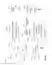 Fig. 10 - Multiple child windows in dual display communication devices