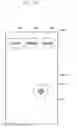 Fig. 31 - Method and apparatus for providing user interface