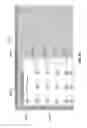 Fig. 90 - Unified desktop input segregation in an application manager