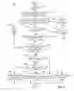 Fig. 04 - Automated diagnosis of software crashes