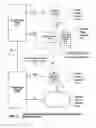 Fig. 09 - RESTORING BACKED UP DATA ACROSS AUTONOMOUS STORAGE MANAGEMENT SYSTEMS