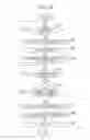 Fig. 14 - Range adjustment for text editing