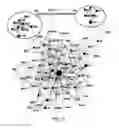 Fig. 13 - System and method for performing analysis on information, such as social media