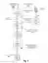 Fig. 06 - Automated image organization techniques