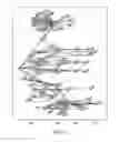 Fig. 13 - Methods of providing network graphical representation of database records