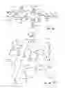 Fig. 04 - Fragmenting newsfeed objects