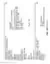 Fig. 05 - Human and Machine Assisted Data Curation for Producing High Quality Data Sets from Medical Records