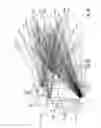 Fig. 06 - Determining an attack surface of software
