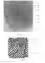 Fig. 07 - Fingerprint identification method