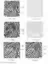 Fig. 08 - Fingerprint identification method