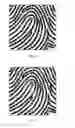 Fig. 09 - Fingerprint identification method