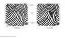 Fig. 11 - Fingerprint identification method