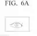 Fig. 12 - User terminal apparatus and IRIS recognition method thereof