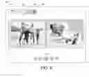 Fig. 07 - Photo diary
