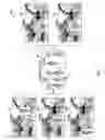 Fig. 04 - Methods and systems for object-recognition and link integration in a composite video stream