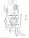Fig. 31 - Suggesting activities