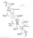 Fig. 01 - SYSTEMS AND METHODS FOR VALUING A MERCHANT USING TRANSACTION DATA